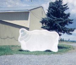 Garden Exercise Pool View 2